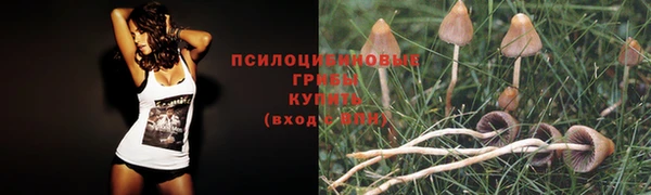 стафф Краснотурьинск