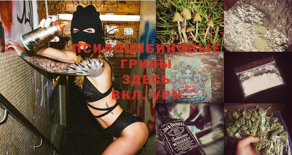 стафф Краснотурьинск