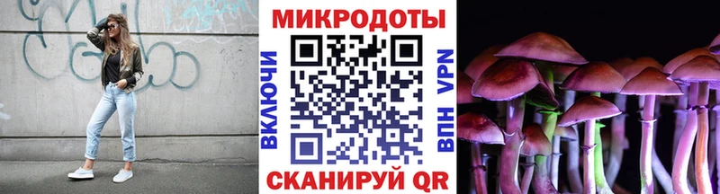 Галлюциногенные грибы прущие грибы  Чегем 