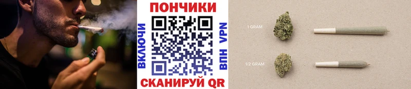 Бошки Шишки индика  Чегем 